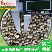 Новые товары Yunnan Huozi Бесплатная доставка Большой зерно не -гансу жареный Wuxiang Shengsheng Mozi Mozi Seed People люди едят оригинальные закуски