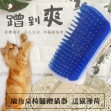 Маленькая кошка Cat Camer Corner Cat Cat Catching Toys Toys Cricking Pet Catt Cat
