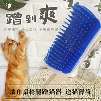 Маленькая кошка Cat Camer Corner Cat Cat Catching Toys Toys Cricking Pet Catt Cat