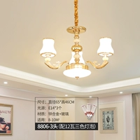 8806-3 Top Top Top Top Thro-Colus Lack