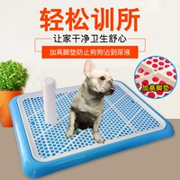 Базовый туалетный гонг собака собака бассейн моча