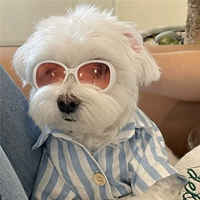 Брендовые креативные солнцезащитные очки на солнечной энергии, аксессуары, в корейском стиле, Южная Корея, домашний питомец, кот