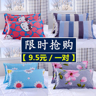 Vỏ gối, một đôi sanding, pillowcase, zipper, pillowcase, một cặp 2 người lớn gối