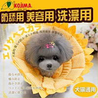 Подсолнечник