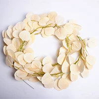 Абрикосовый