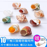 [H style set] roll -up Fish to