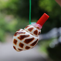 【Раковина】 Dongfeng Snail