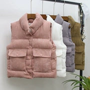 Mùa thu đông mùa đông áo vest rộng rãi áo khoác vest vest 2018 vải nhung dày ngắn xuống áo vest nữ