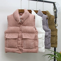 Mùa thu đông mùa đông áo vest rộng rãi áo khoác vest vest 2018 vải nhung dày ngắn xuống áo vest nữ áo khoác nữ form rộng