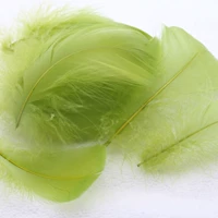 100 военных зеленых китайцев