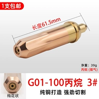 100 Propiner 3#(5)