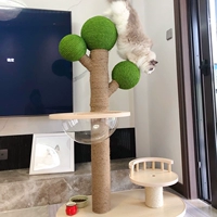 Gaoge Jun Cat Tree Ball Network Red Fairy Cat Tracking Lelp