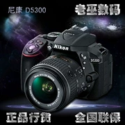 Máy ảnh Nikon D5300 D5500 D5600 Bộ nhập cảnh 18-55mm SLR Authentic được cấp phép - SLR kỹ thuật số chuyên nghiệp