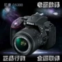 Máy ảnh Nikon D5300 D5500 D5600 Bộ nhập cảnh 18-55mm SLR Authentic được cấp phép - SLR kỹ thuật số chuyên nghiệp mua máy ảnh trả góp