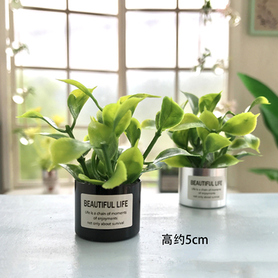 taobao agent BJD Metal Pot Mini Plants Blythe soldier OB11GSC Micro Model Model Fall House Furniture Pot Flower Pot