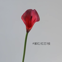 Little Horseshoe Lotus 1 ветвь [Purple Red/Red Core]