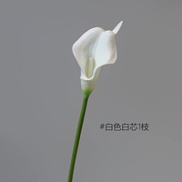 Little Horseshoe Lotus 1 [белое/белое ядро]