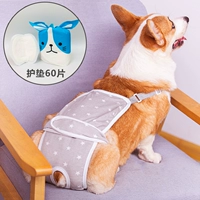 Темперамент серых звезда биологические брюки+60 Pet Pad