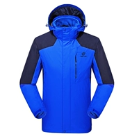 7709 Royal Blue-Male