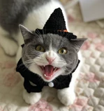 Шапка ручной работы, аксессуар для волос, чокер, черный фальшивый воротник, xэллоуин, наряжаться