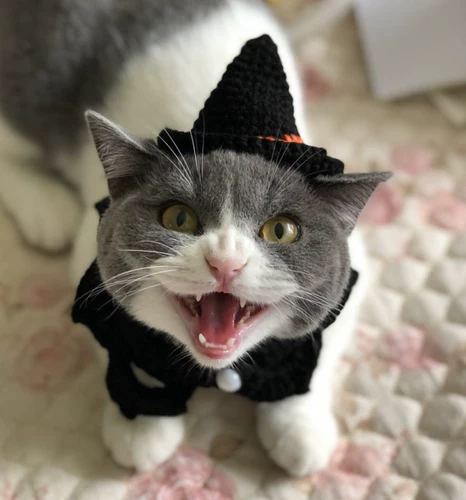 Шапка ручной работы, аксессуар для волос, чокер, черный фальшивый воротник, xэллоуин, наряжаться