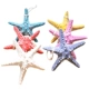 13 см Tyrannosaurus Starfish 6 устанавливает набор