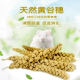 Huanggu Sui Золотое филе подвесные крысы Barcers Barrite Squirrel Snack Dutrition Feed 100g