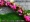 Mô phỏng hoa hồng giả hoa mây phòng khách điều hòa không khí khối trong nhà trần trang trí nhựa nho hoa dải - Hoa nhân tạo / Cây / Trái cây