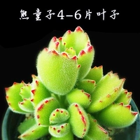 Ярко-желтый