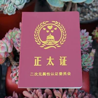 Сертификат Zhengtai СЕРВАННЫЕ СЕРТИКА ПРИМЕНЕНИЯ Персонализированные творческие креативные расслабляющие подарки, Qiqi Strange Print настройка подарка