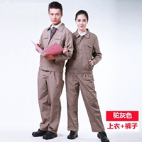 Верблюд серой