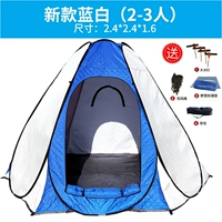 2.4*2.4 синий и белый