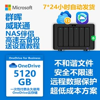 Synology Weilong Cloud Backup Cloud Protect OneDrive 5TB Permanent Space Partner