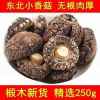 Северо -восточные специализированные грибы грибовые грибы сушеные грибы из карие грибы сушеные грибы грибы