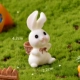 CJ21 BACK BAMBOO BOSTED RABBIT