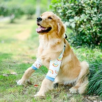 Радужная весна и летняя модель прокладки