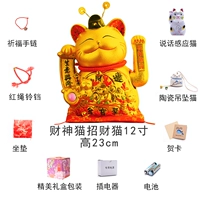 12 дюймов, 23см