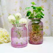 Bình thủy tinh đựng dụng cụ thủy tinh kiểu IKEA * bình hình chữ nhật song song * bình thủy canh - Vase / Bồn hoa & Kệ