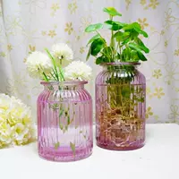 Bình thủy tinh đựng dụng cụ thủy tinh kiểu IKEA * bình hình chữ nhật song song * bình thủy canh - Vase / Bồn hoa & Kệ gáo dừa trồng lan