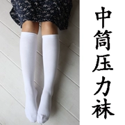 Hàn Quốc chân bếp vớ chân định hình mùa xuân và mùa thu mỏng phần Nhật Bản cao ống nữ trắng ống dài vớ lụa nén vớ đáy vớ