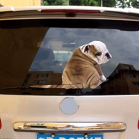 Назад -Wiper Wiper Car Используйте мультипликационную наклейку Смешную наклейку для тела.