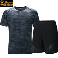 珠穆狼爪 Уличный спортивный быстросохнущий комбинезон, тонкие штаны, легкие и тонкие быстросохнущие шорты, дышащая эластичная футболка