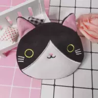 Черно -белый кот