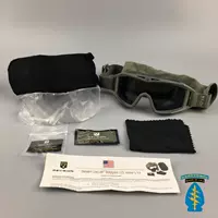 Военная версия ревизионной саранчики запечатанные ветроизоталенные ветроизоталенные серо -зеленый американский американский наружный тактический анти -ффо -песчаная бомба Goggles