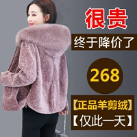 Haining chống mùa cừu cắt áo khoác nữ lông đặc biệt một 2018 giải phóng mặt bằng mới chính hãng áo khoác lông ngắn áo dạ lông cừu