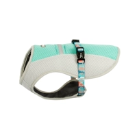 Мятно-зеленый