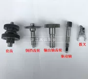 Phụ kiện Karting nông dân Wang Ye GY6 tích hợp động cơ đảo ngược đầu ra trục bánh răng trục tay áo răng ngã ba - Xe máy Gears