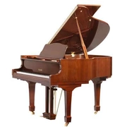 Một cây đàn piano cá nhân được đặt theo tên của bạn! Đàn piano của bạn là của bạn! Chất lượng quyết định cuộc sống! - dương cầm