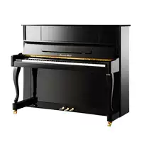 Bưu chính tiền gửi đàn piano của Graf - dương cầm casio px s3000