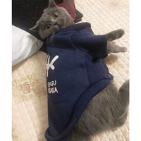 Короткий кошачий кошка кошка кошка одета в голубой кот белый черный английский короткий кошачий хлопковой свитер плюшевая собака осень и зимнее платье